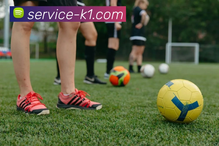 App Interface Preview