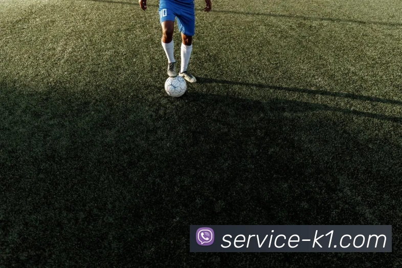 深度报道专家APP 封面图